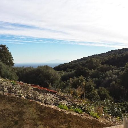 Maison Dans Le Cap Corse Villa Tomino Esterno foto