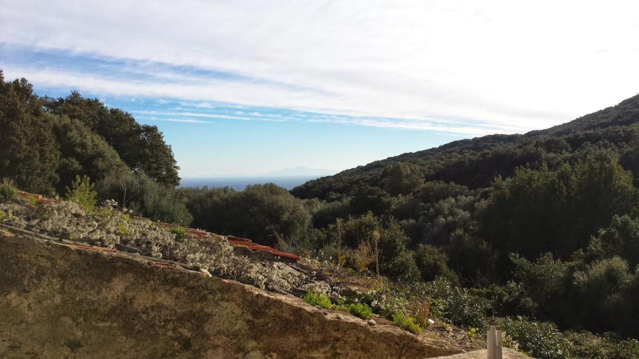 Maison Dans Le Cap Corse Villa Tomino Esterno foto